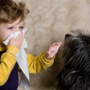 Vivere con cani e gatti riduce le allergie nei bambini?