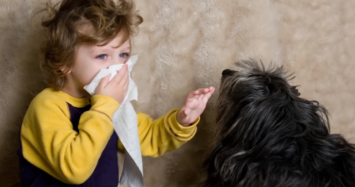 Vivere con cani e gatti riduce le allergie nei bambini?